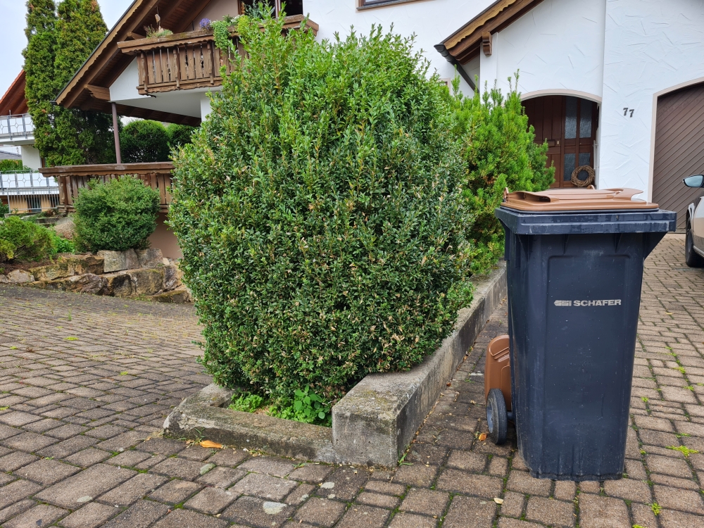 Biotonne mit Bio-Filterdeckel im LK Reutlingen