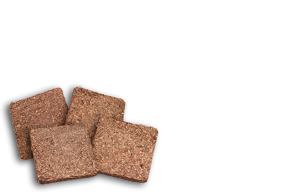 bio-filter material