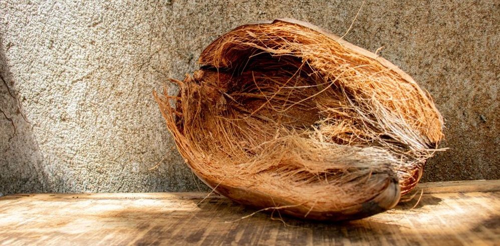 bio-filter material